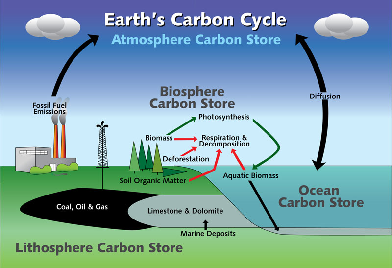 Earths Carbon Cycle.jpg